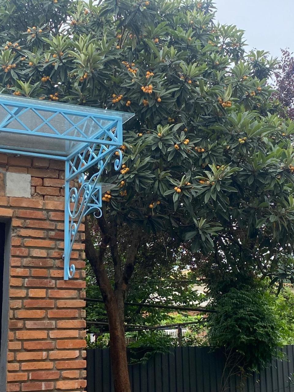 קוטאיסי Hotel Varla מראה חיצוני תמונה