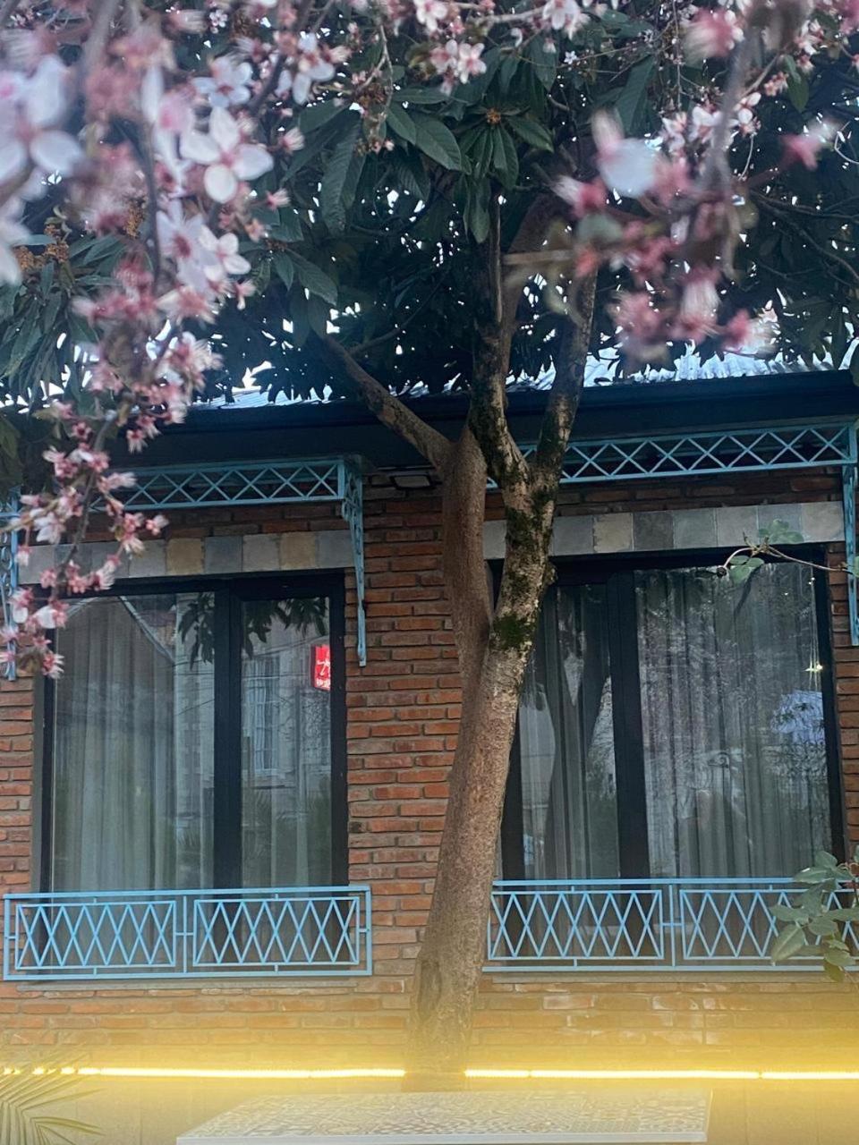 קוטאיסי Hotel Varla מראה חיצוני תמונה